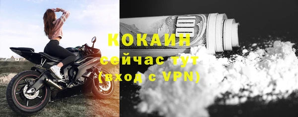 индика Лагань