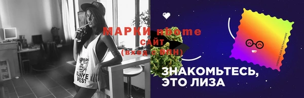 мдпв Лабытнанги