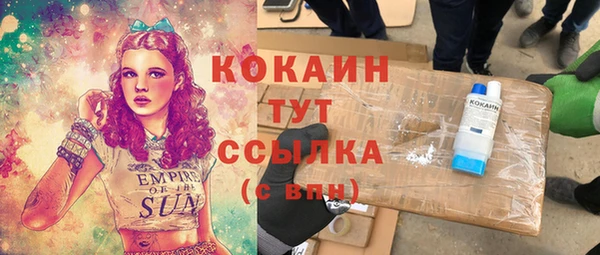 мдпв Лабытнанги