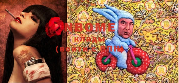 индика Лагань