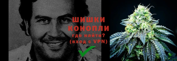 индика Лагань