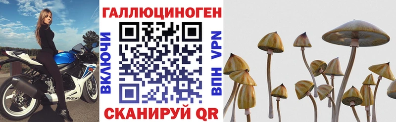 Купить закладки  Орлов  Галлюциногенные грибы мицелий 